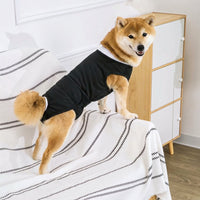 Post-Surgery Recovery Suit, Pull-On Spay Recovery Suit, Neuter Recovery Suit, No Leg Weaning Suit for Dogs, Anti Licking Post-Operative Care Use
