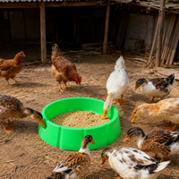 Chicken Feeding Trough, Large Plastic Round Feeder, Chick Feeder, Poultry Feeding Tool