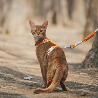 Kitten Harness and Cat Leash Set, Adjustable Polyester H-Style Travel Harness with 150cm Kitten Leash, Buckle Closure for Outdoor Pet Walking