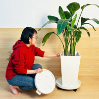 Plant Trolley Pot Stand with Water Tray, Heavy Duty PP Material Plant Pot Base and Holder, Indoor Outdoor Stand for Large Potted Plants