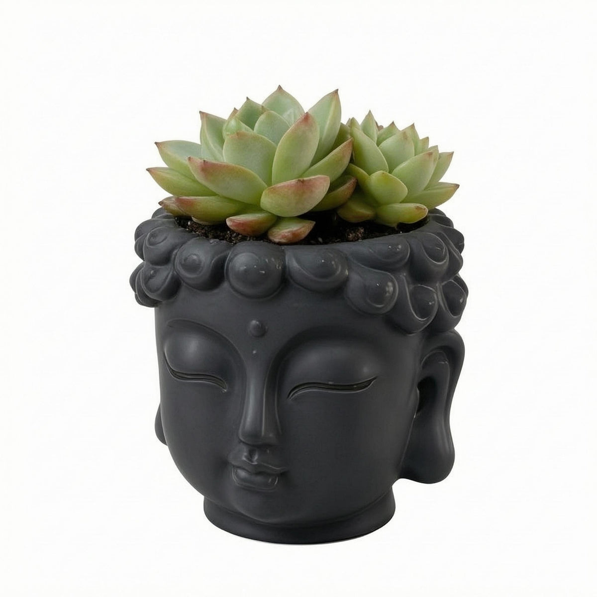 Buddha Head Plant Pot Closed Eyes Buddha-Head Planter Textured Hair