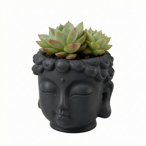 Buddha Head Plant Pot Closed Eyes Buddha-Head Planter Textured Hair