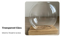 Transparent Glass Hydroponic Vase Creative Design Desktop Flower Container Multi-Purpose Clear Plant Rooting Jar Artisanal for Office Workers, Home Decorators, Gardeners, Living Room, Bookshelf, Window Sill