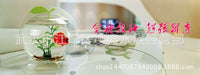 Mini Wall-Mounted Acrylic Fish Tank Creative Small Aquarium