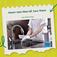 Infrared motion sensor faucet, leak-resistant.