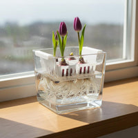 Water-Culture Bulb Flower Planter Clear Design Clear Glass Bulb Forcing Vase Preserves Roots Planter with Bulb Holder Basket for Windowsill