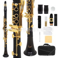 SLADE Ebony Clarinet Bb 17 Keys Black Woodwind for Students and Adults Exam Performance