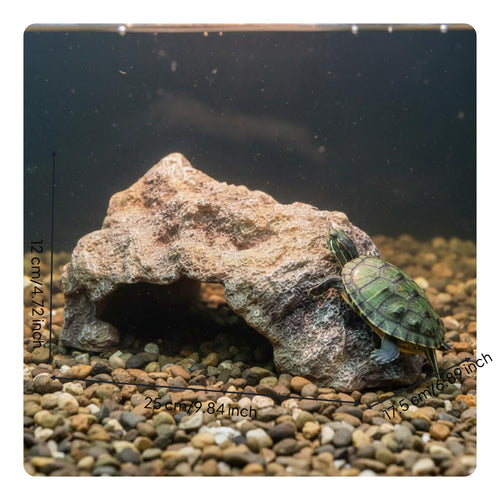 Amphibian Hiding Cave Stable Base Resin Rock Cave Waterproof for Invertebrates