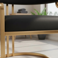 Comfortable Minimalist Salon Chair Ergonomic Design Upholstered Armchair Easy to Clean for Reception Area, Negotiation Room