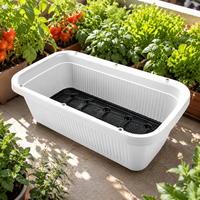 planter box