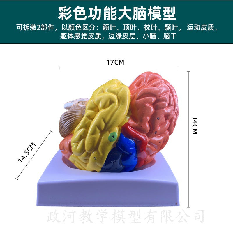 2-part Color-coded
