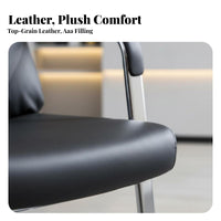 Cantilever Base Chair High spine comfort Office Furniture Modern appearance Padded Armrests for managerials