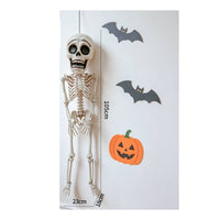 Hanging Skeleton Portable Skeleton with Movable Joints Durable