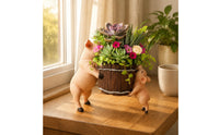 Cute Pig Resin Planter Small Plant Holder Home Decor for Garden