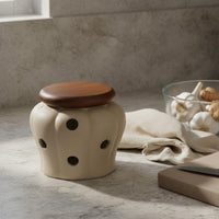 Ventilated Garlic Jar Matte Ceramic Garlic Jar Faceted