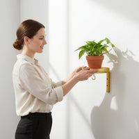 Metal Wall Plant Hook Indoor Outdoor Metal Wall Planter Universal Use
