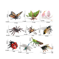 10 Pieces Hand-Painted Animal Figurines High Quality Plastic Animal Figures Miniature Forest Creature Figurines Sturdy for Collectors, Kids, Classroom