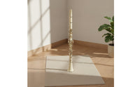 Clarinet with Hard Case Resin   Clarinet 17-Key Woodwind for Lessons, Practice Rooms