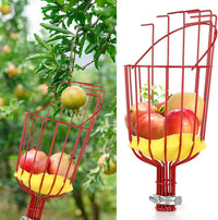 Fruit Picker Tool, High Altitude Harvesting, Detachable