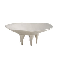 Irregular Decorative Tray Polished Catchall Elegant for Tabletop