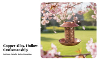 Solar Powered Bird Feeder Automatic activation/Off Hanging Solar Bird Feeder Metal Hollow-out Garden Lantern for Gardeners, Yard, Patio, Balcony