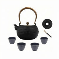 Cast Iron Teapot Traditional Japanese Tetsubin Easy to Clean