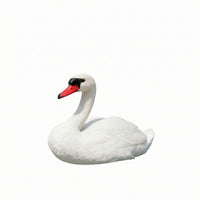 Swan Garden Ornament Realistic Animal Sculpture Freestanding for Pond