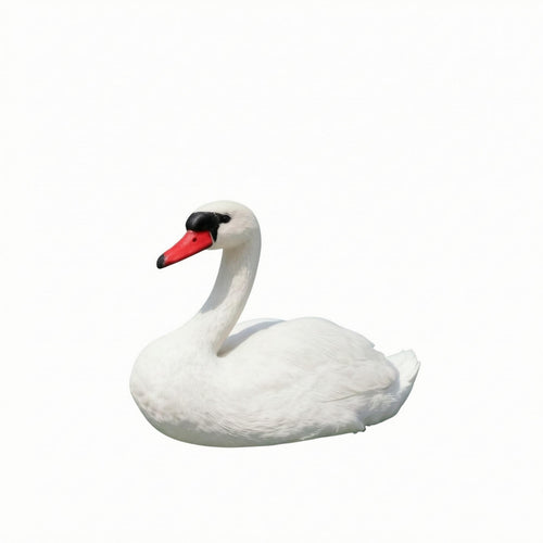Swan Garden Ornament Realistic Animal Sculpture Freestanding for Pond