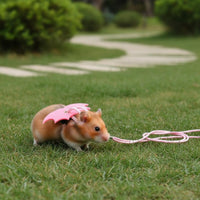 Hamster Leash and Harness Long-Lasting Hamster Walking Leash Comfortable