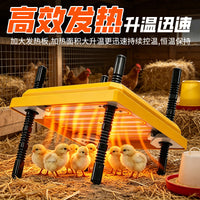 小鸡育雏亭宠物育雏器取暖器冬天鸡鸭加热器雏鸡暖风机保温加热板 美规
