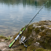 fishing rod
