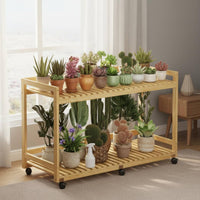 2-Tier Rolling Planter Shelf Movable with Wheels 2-Tier Rolling Plant Cart