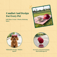 Soft Cotton Pet Sport Hat, Character, Everyday Wear
