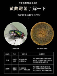 家用切菜板不锈钢SUS304材质案板厨房抗菌砧板水果刀板防霉擀面板