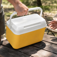 Portable Insulated Cooler Box with Ice Packs for Outdoor Camping Fishing Car Travel