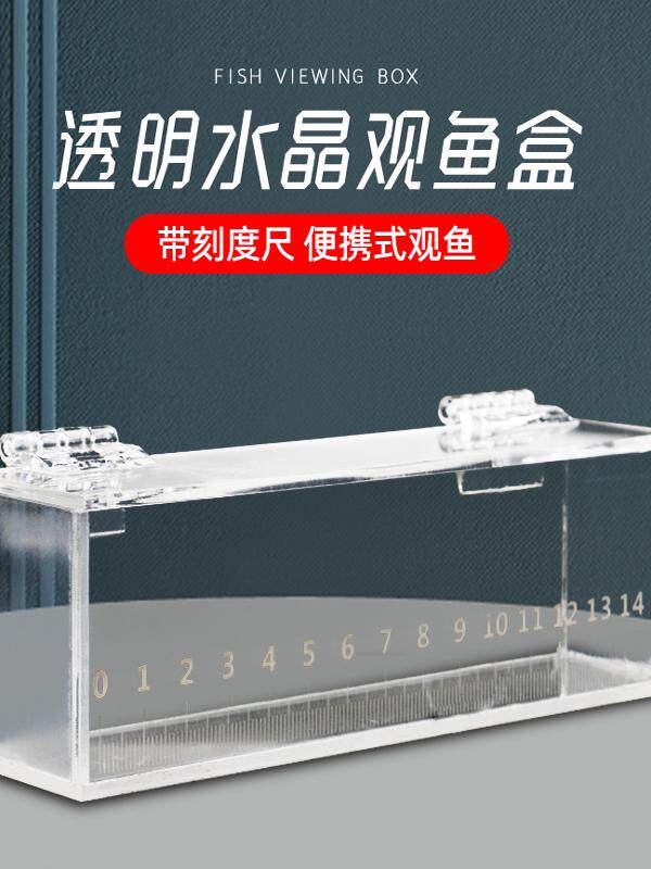 Transparent Acrylic Fish Observation Box with Scale for Small Fishing and Camping