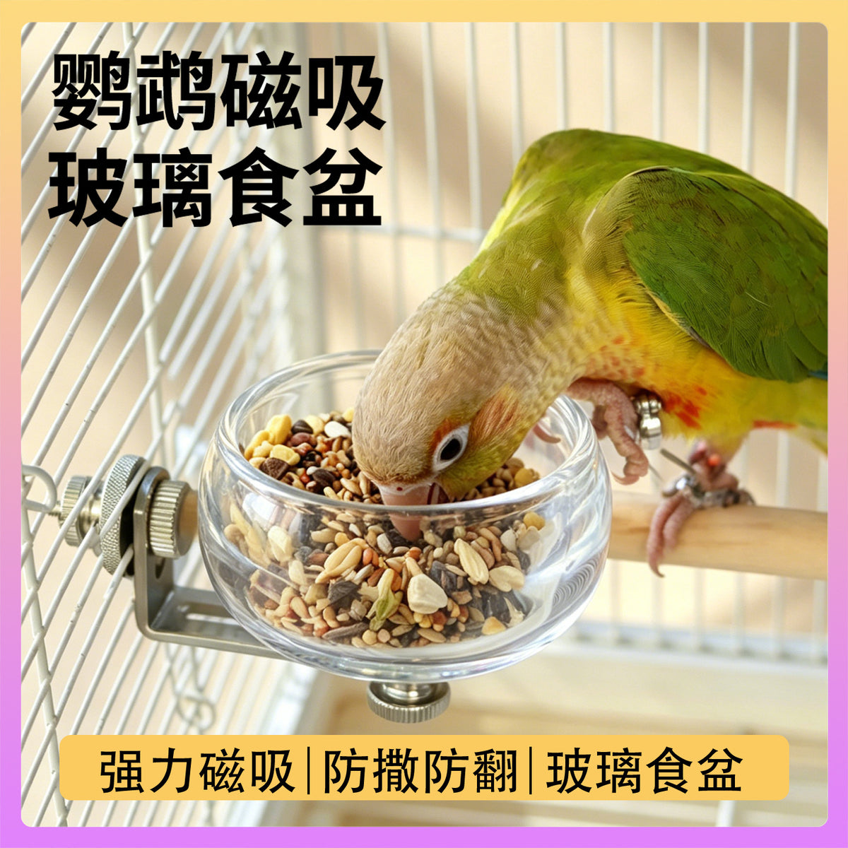Magnetic Glass Parrot Feeder Bowl with Anti-Splash Design