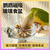 Magnetic Glass Parrot Feeder Bowl with Anti-Splash Design