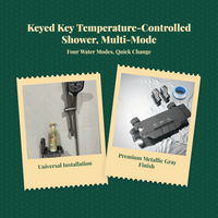 Brass thermostatic shower, rainfall head