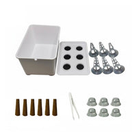Hydroponic Growing System Easy to Manage Soilless Cultivation Box for Beginners