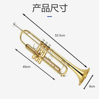 Bb Trumpet pyxh001 Student Beginner Professional Brass Instrument