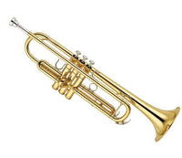Bb Trumpet pyxh001 Student Beginner Professional Brass Instrument
