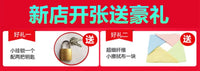 不锈钢密码箱带锁的小匣子家用文件箱子储物柜铁皮盒子手机收纳箱 挂锁＋密码18*13*11小号 不要投钱口