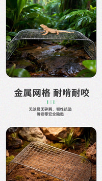 两栖动物攀爬晒台蜥蜴鬃狮蜥睫角守宫铁丝爬网爬虫箱造景装饰代发
