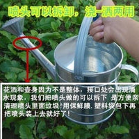 Iron Watering Can with Fixed Spray Head