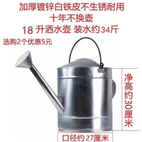Thickened Iron Sheet Watering Can with Sprayer