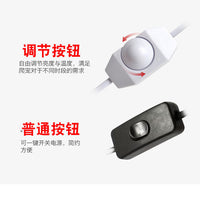 Pet Heat Lamp, Parrot Heating Lamp, Reptile Ceramic Bulb with Anti-Scald Cover, No Light, US Plug
