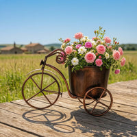 Tricycle Planter Rustic Flower Pot Whimsical for Patio, Courtyard