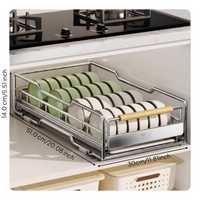 Stainless Steel Pull-Out Dish Rack