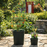 Indoor Plants Interlocking Plant Supports for Indoor Plants, 10 Pack of Plant Sticks Support and Plant Stakes, Monstera Plant Support, 30cm Size